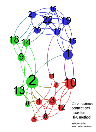 Chromose connections network analysis based on hi-c method