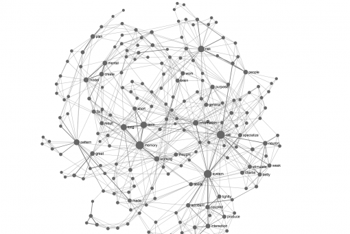 network-graph-survival